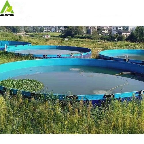 Flexible Biofloc PVC Fish Farming Tank Pond 1.2m High with Stainless Frame Betta Fish Tank Aquarium